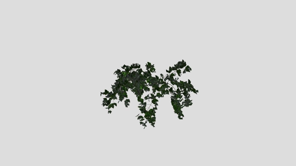 Simple Hanging Wall Plant