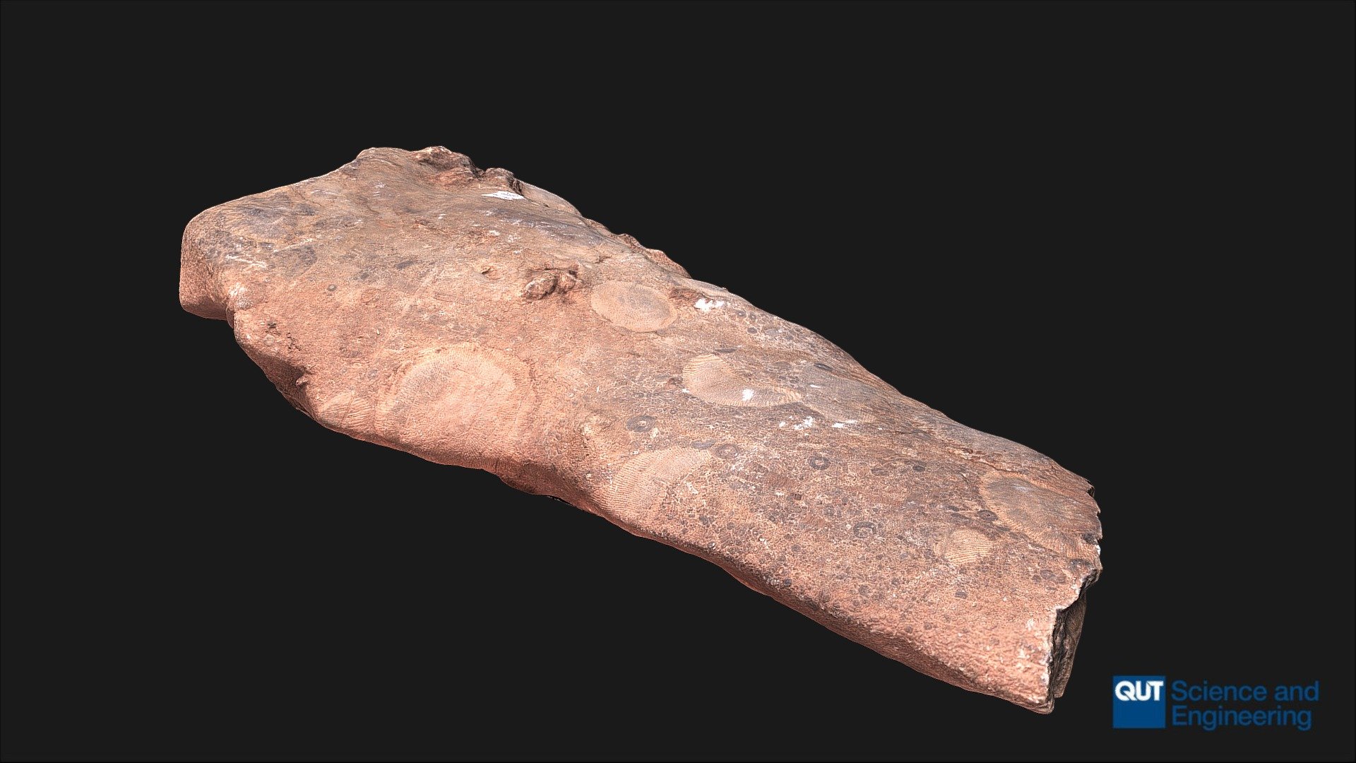ERB102 Depositional Environments Sample 1.10