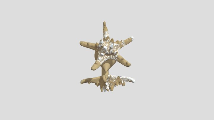 Starfish4Print 3D Model