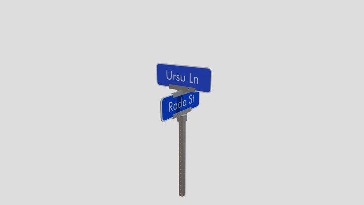 Rada Ursu Street Sign 3D Model