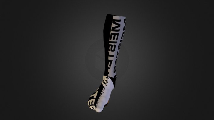 Socks design 3D Model