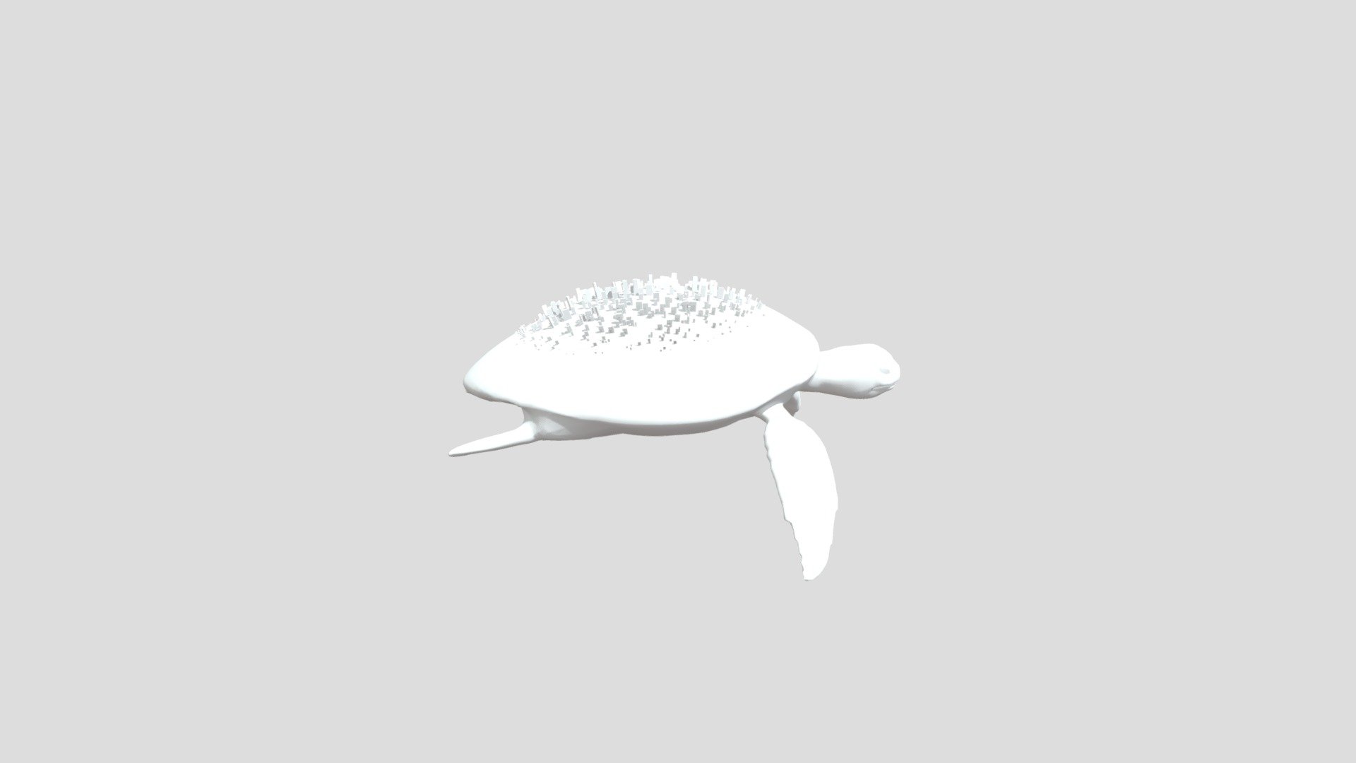 Turtle-A Mb 02