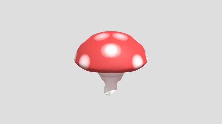 My model 3D Model