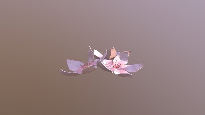 Cherry Blossom Trio 3D Model
