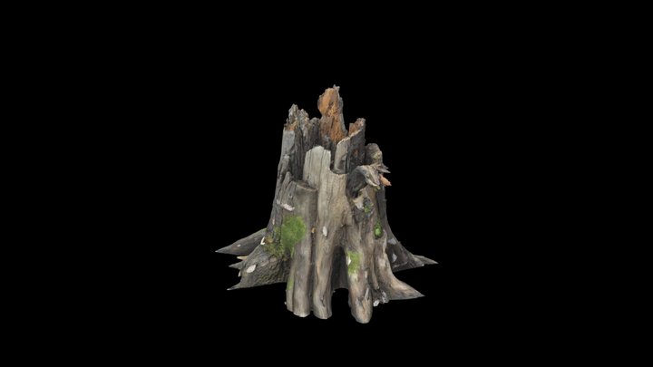Stalwart Remnant 3D Model