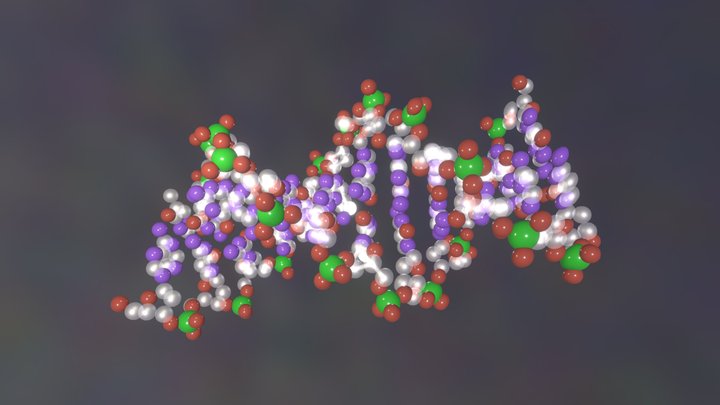 DNA Methylation "Live" 3D Model