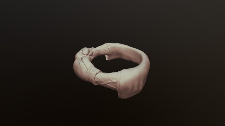 boxer ring 3D Model
