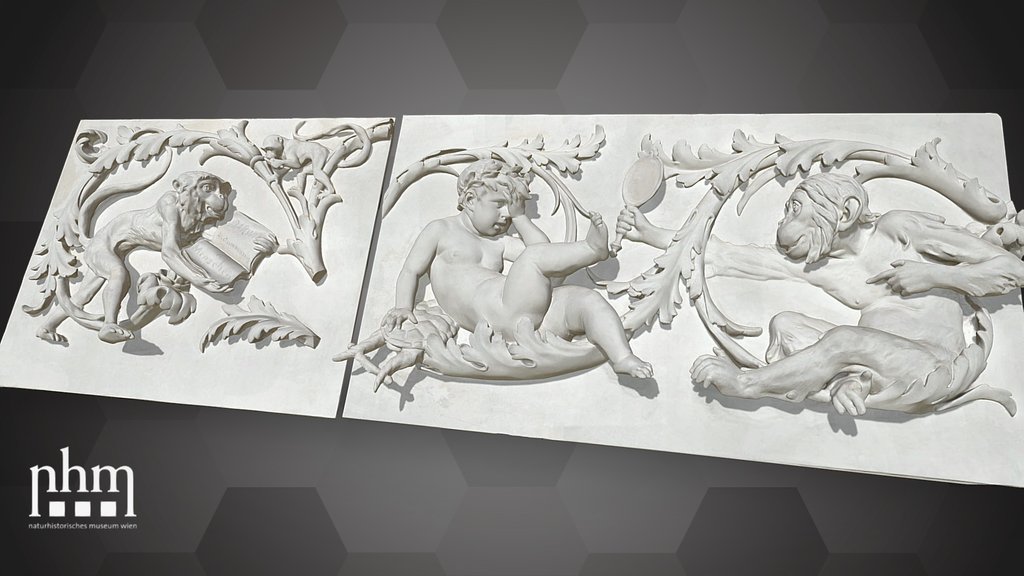Plaster cast of the  Darwin Frieze