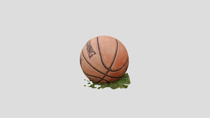 Basketball 3D Model