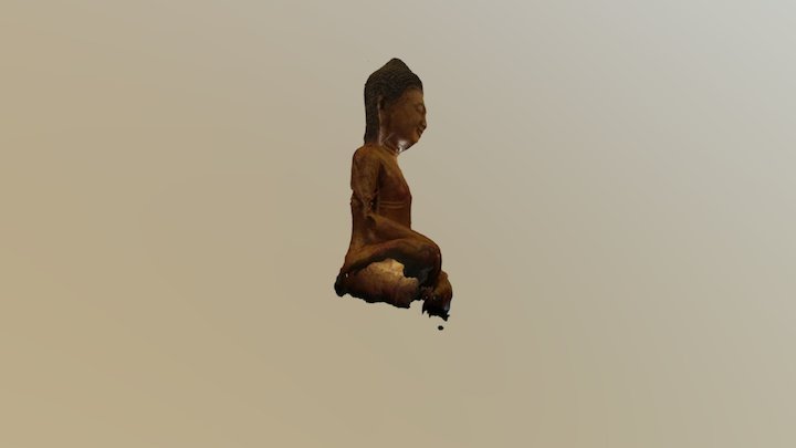 Buddha project 3D Model