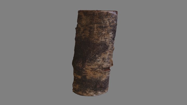 Firewood 3D Model