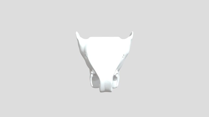 Colwell0308 Elephant02 3D Model