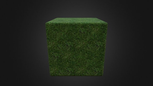 Grass_01 3D Model