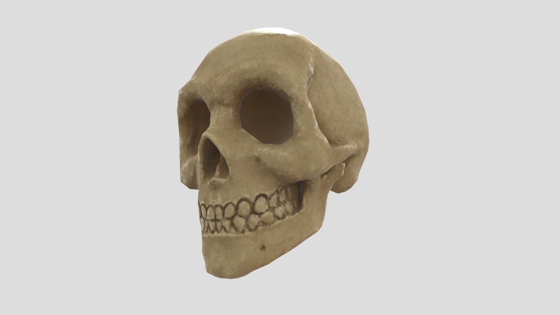 Skull