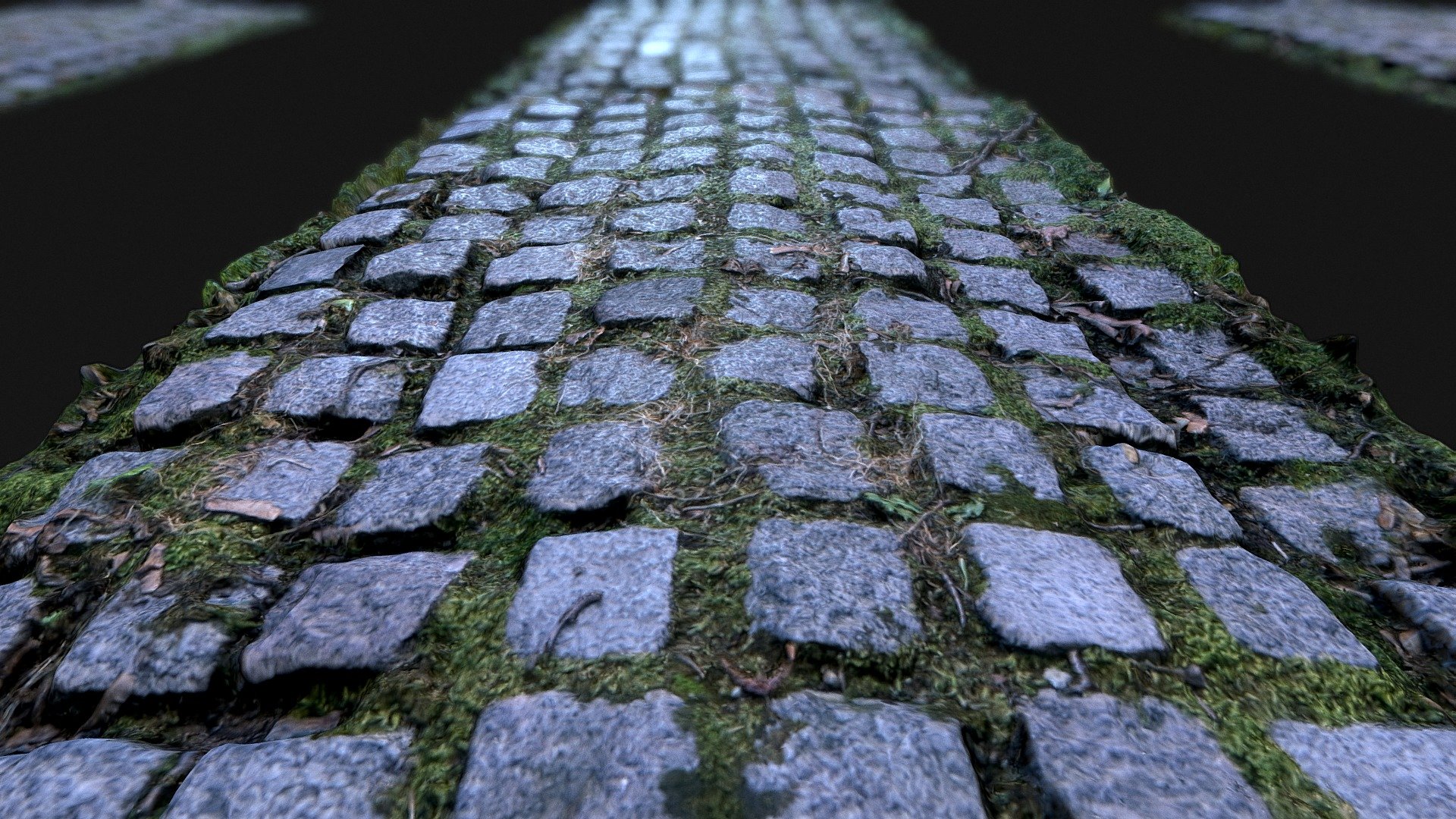 Old Paving Stones Photogrammetry