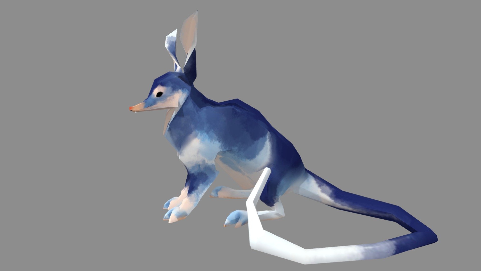 Bilby - animated - Download Free 3D model by nolanfa [bbe2583] - Sketchfab