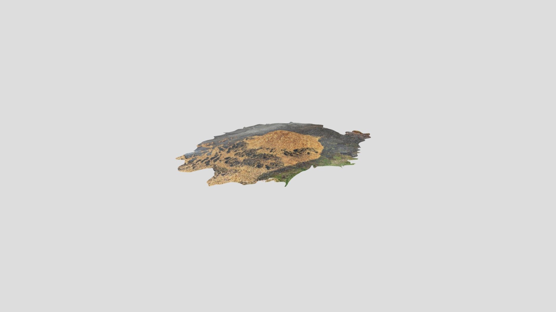 Debark -poly
