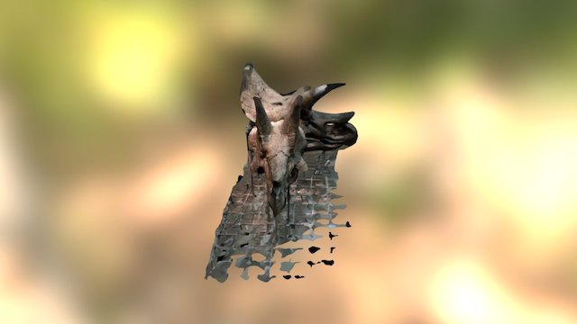 Triceratops Prorsus Head 3D Model