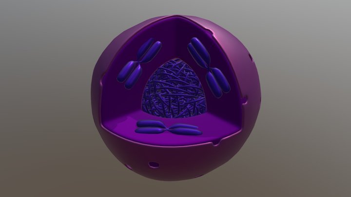 Rakutuum 3D Model
