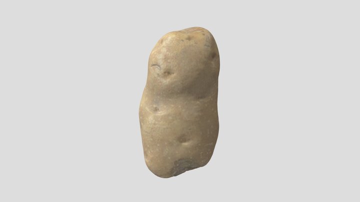 potato 3D Model