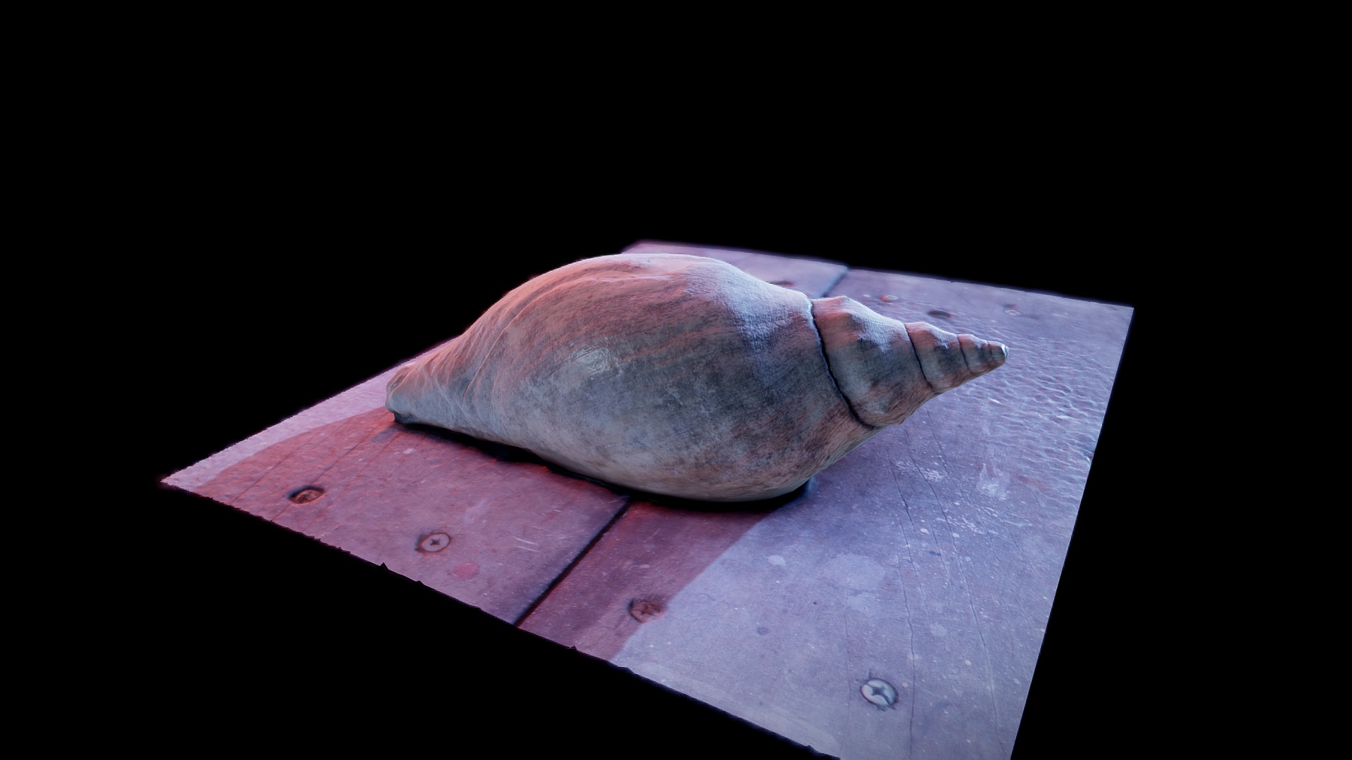 3D model Shell – Unprocessed 3D Scan - This is a 3D model of the Shell - Unprocessed 3D Scan. The 3D model is about a fish on a wooden surface.