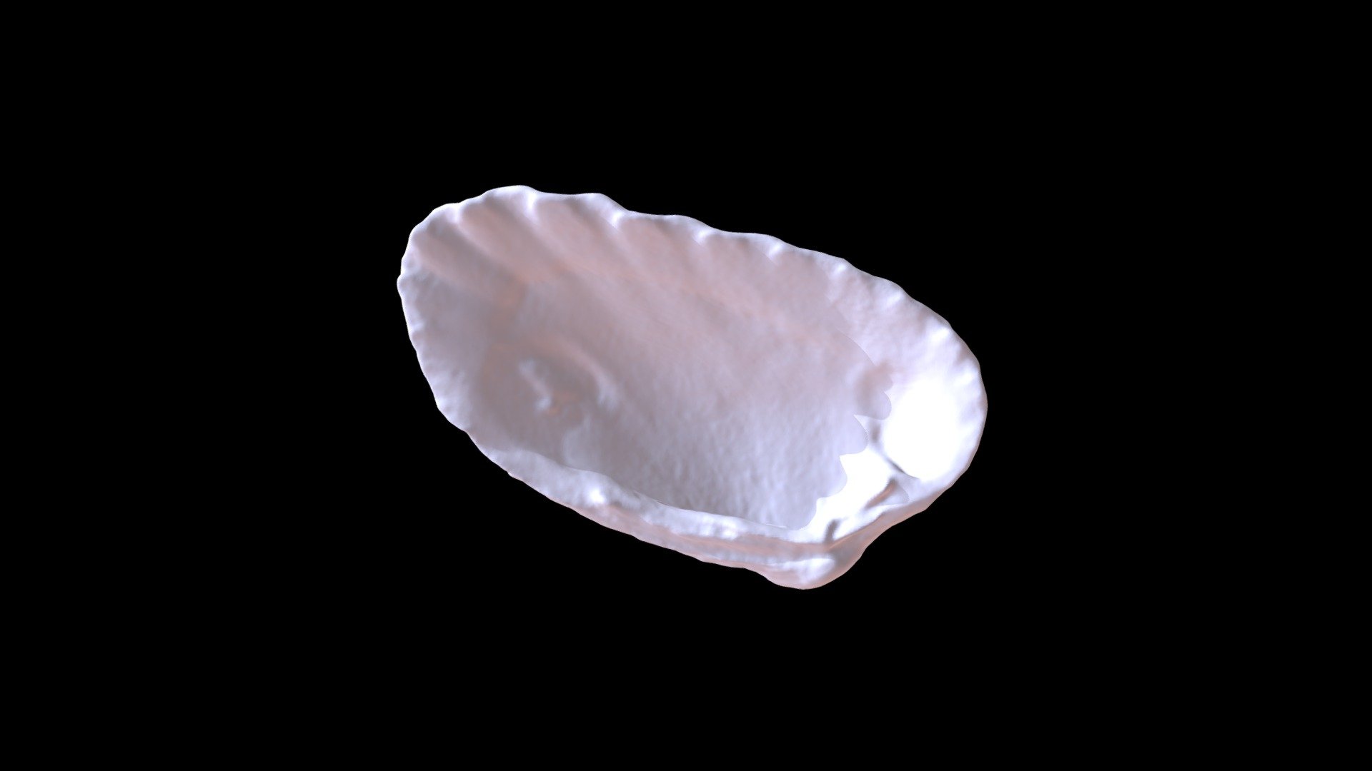 Carditamara arata
