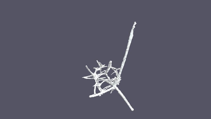 Archeoentactinia_tetractinia_3D_model 3D Model