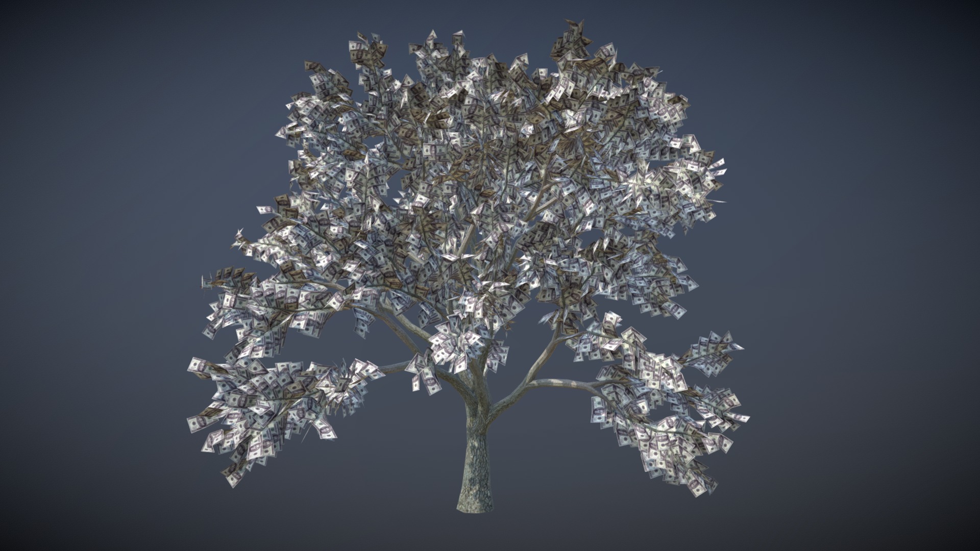 3D model Money Tree - This is a 3D model of the Money Tree. The 3D model is about a tree with white flowers.