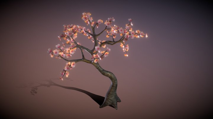 cherry blossom tree 3D Model
