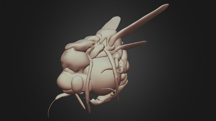 AVISPA HIGH POLY (COLAPSADO) 3D Model