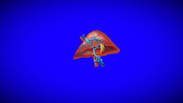 Hati Monic 2 3D Model