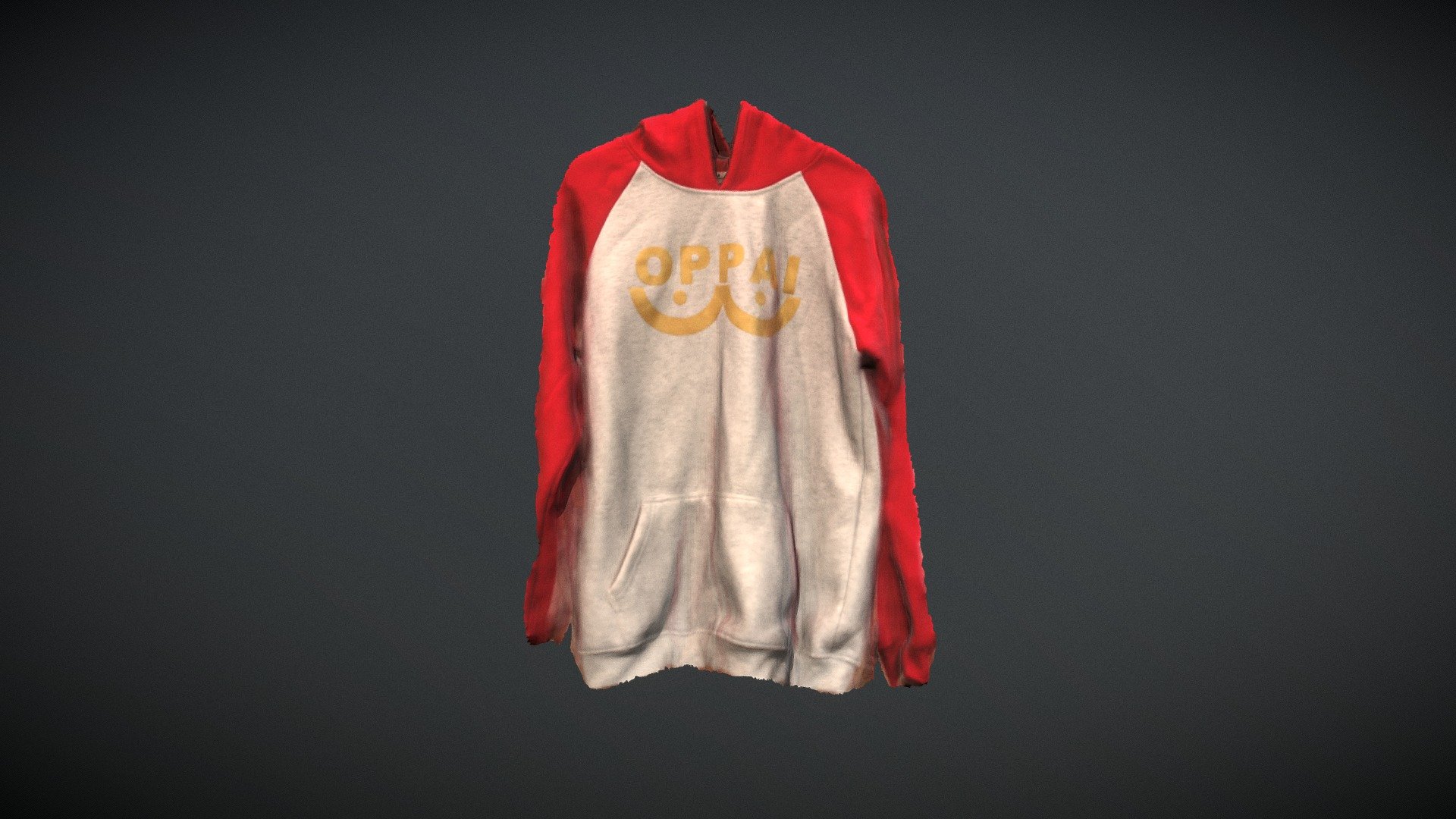 Hoodie Scan [Challenge]