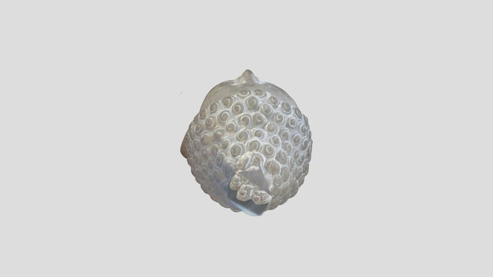 Zen Head 3D Model