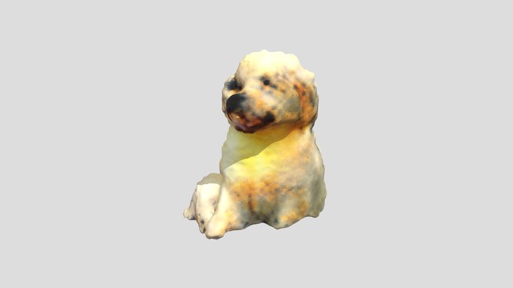 Dog 3D Model