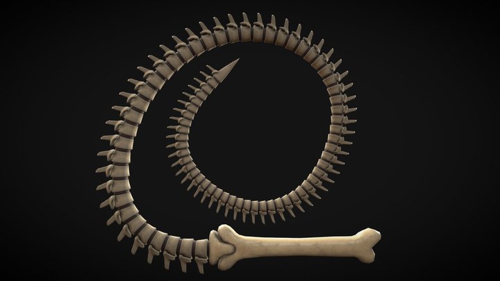 Bone Whip 3D Model