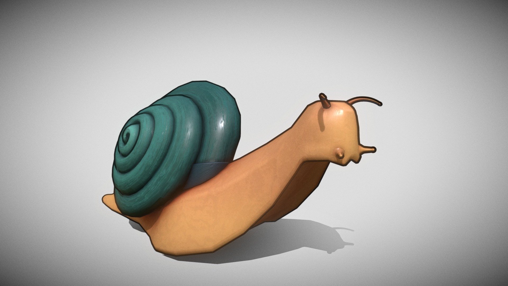 Little Snail Friend
