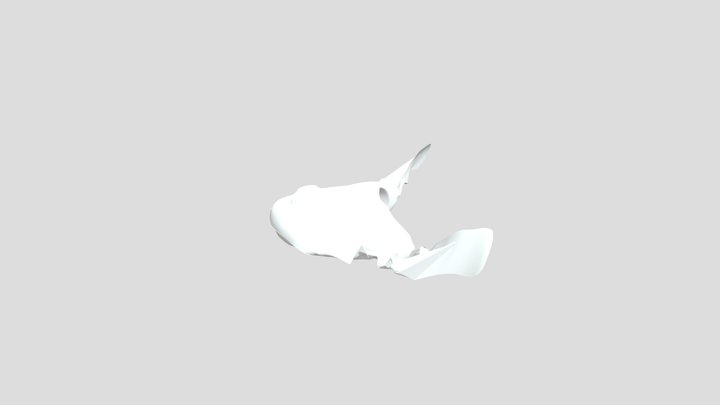 Salamander Head #1 3D Model