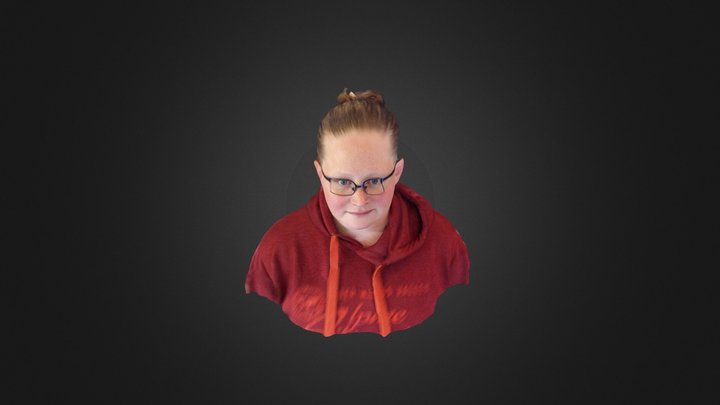 hillary 3D Model