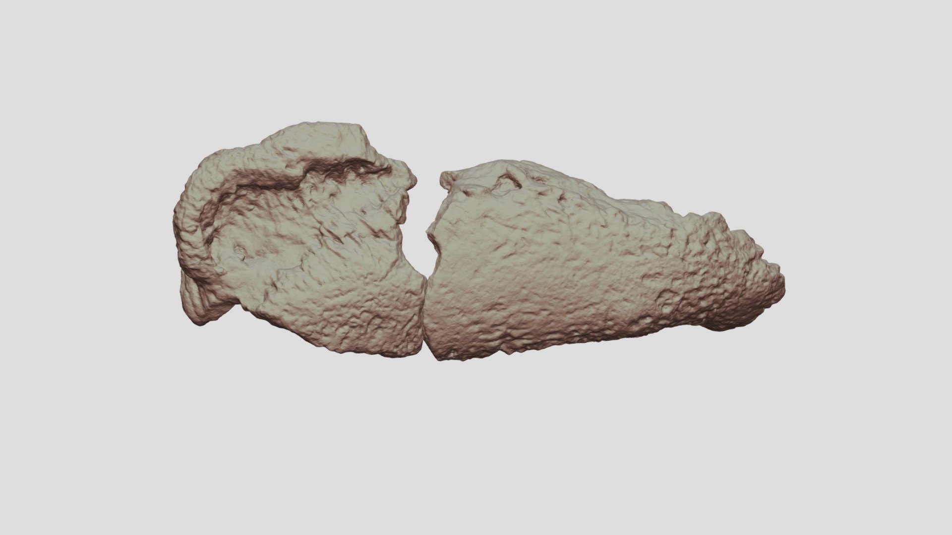 Complete Jaw NCSM29059-29060