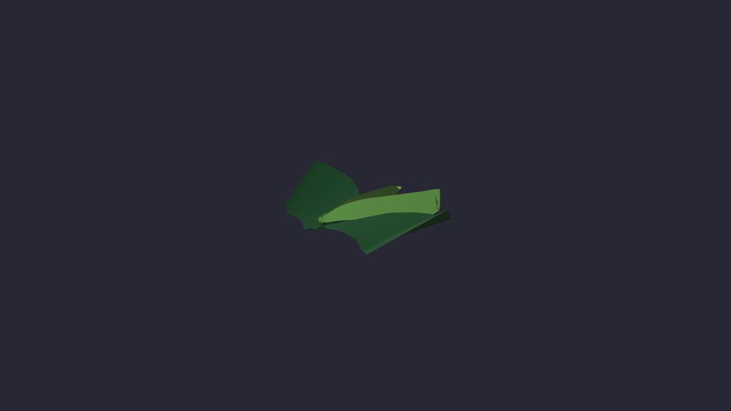 no root leaf display 02