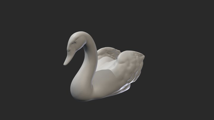 Swan 3D Model