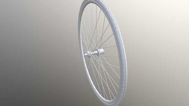 Bicycle Wheel 3D Model