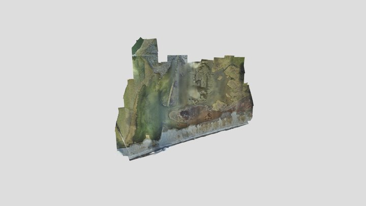 Muriwai lagoon 3D Model