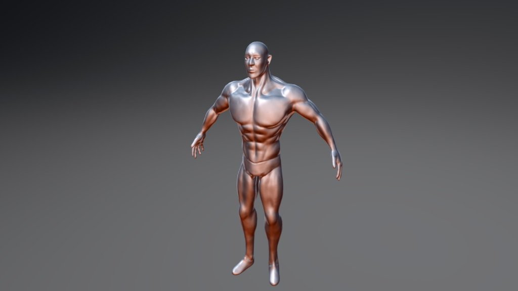 "Muscle study" - 3D model by Sampo (@pellemasi) [bc0e117] - Sketchfab