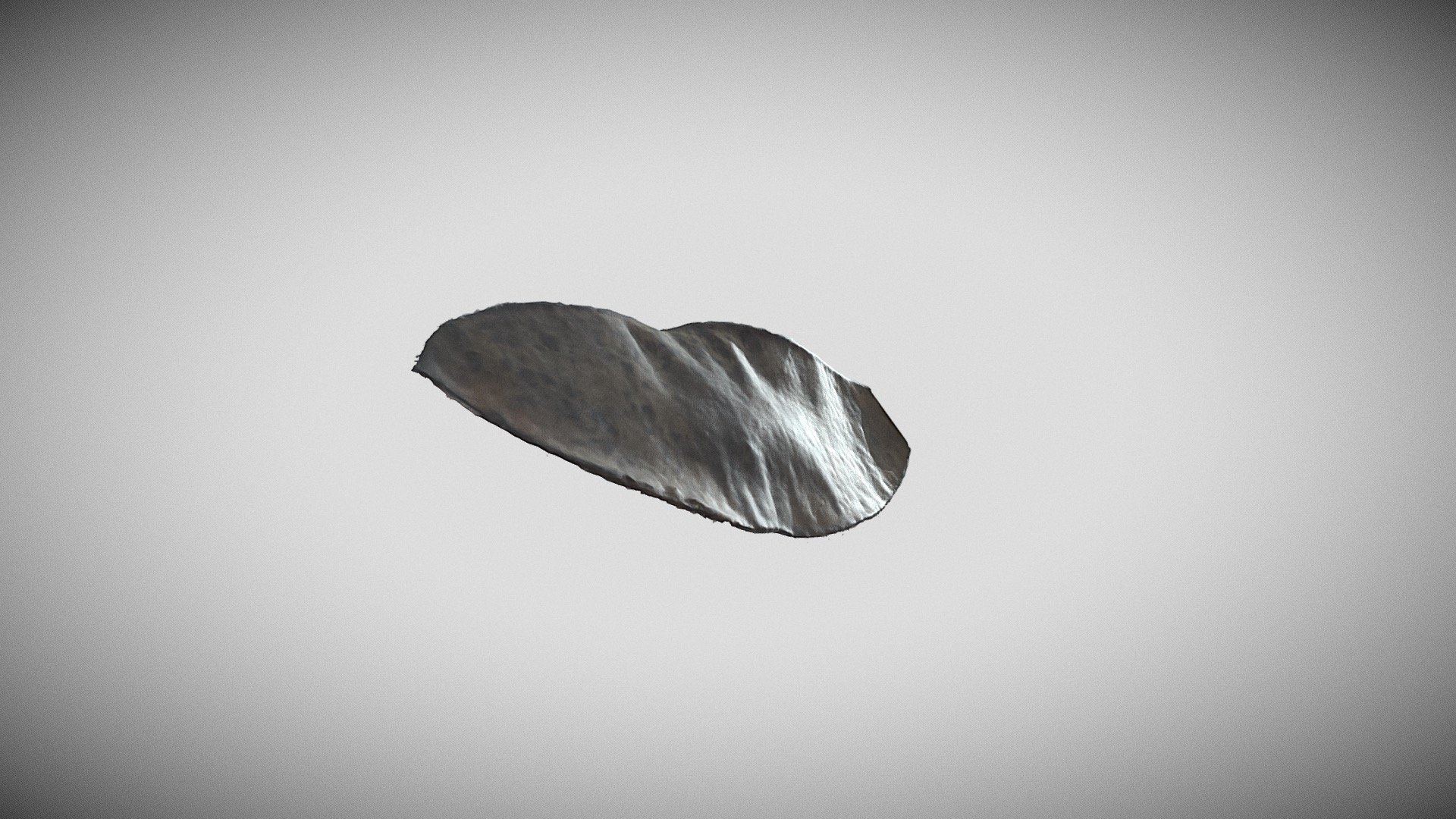 Parkinsonia aculeata — Sketchfab embed 3D viewer