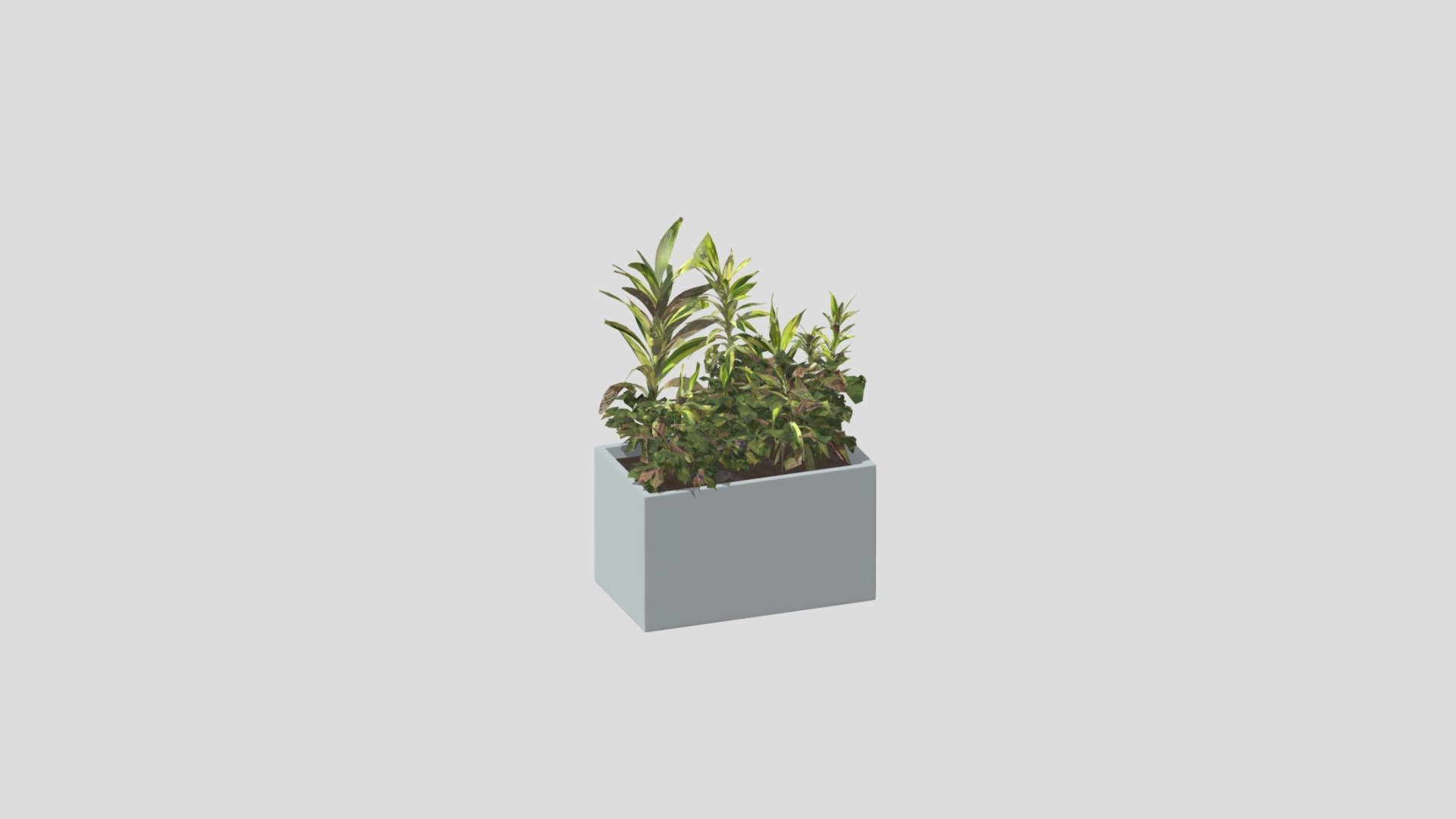 Tree in styrofoam box - 3D model by newsun1235 [bc0f6ee] - Sketchfab