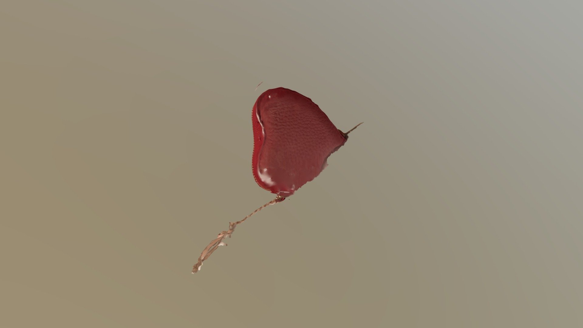 Heart Keychain
