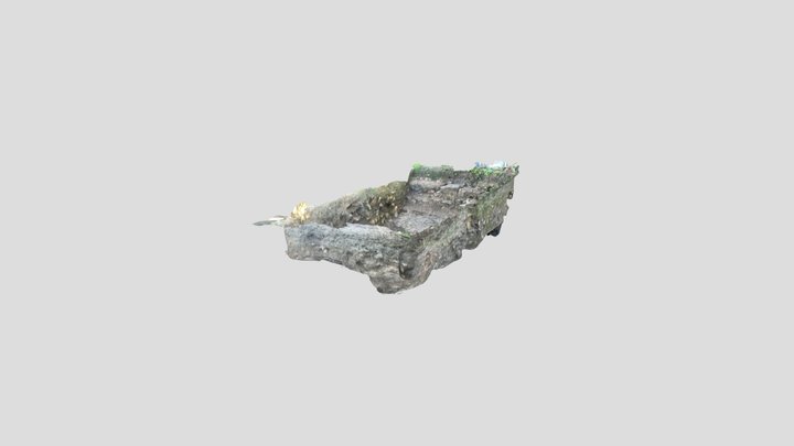 Untitled Scan 3D Model