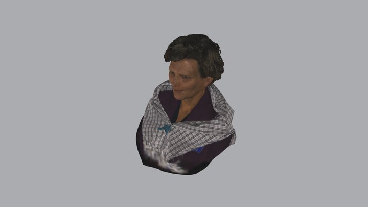 RHNDP343 3D Model