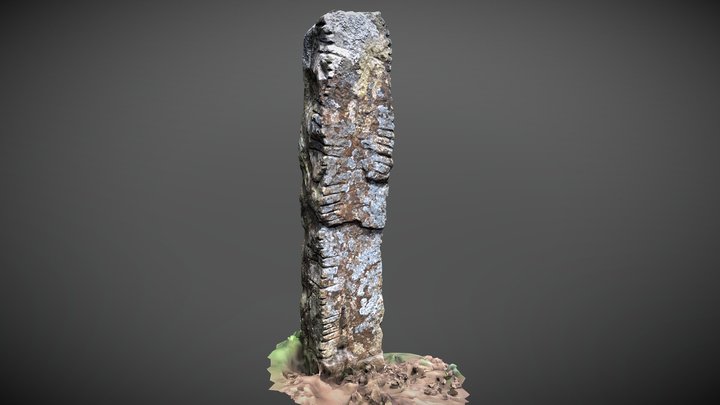 Drumlohan Souterrain & Ogham Stones 3D Model
